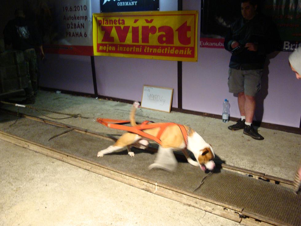 68.jpg